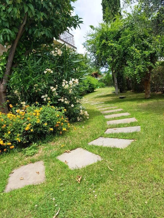 Villa Pineland Borghetto Santo Spirito Zewnętrze zdjęcie